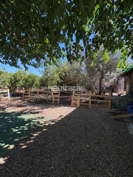 Foto c2501ef7-e139-4397-9ab7-ff29b20ff1de. Bauernhof in Rinconada (La)