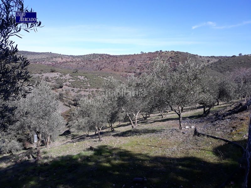 Foto b7deaee7-f057-4b6a-b287-5557c84701f3. Chalet en n/a se vende chalet en termino de añora en Pozoblanco