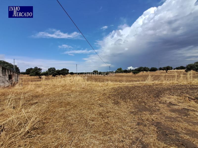 Foto 593b957c-ffb9-4253-b1a9-69129887e16d. Finca rústica se vende parcela en Dos Torres