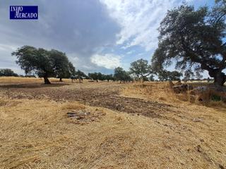 Finca rústica a Dos Torres. Se vende parcela en dos torres