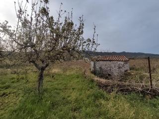 Finca rústica a Mirabel. Terreno en venta en mirabel  mirabel cáceres