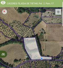 Finca rústica a Tejeda de Tiétar. Terreno en venta en carretera nacional gargüera  tejeda  tejeda