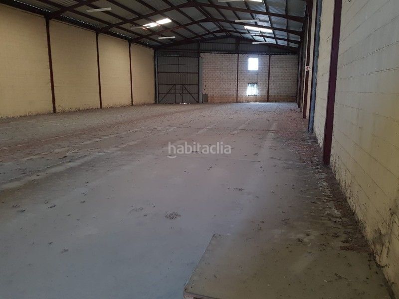 Foto 7a530e22-2fd6-4b28-94ee-4dbfd808b70c. Nau industrial a Zona Sur - Av. De España - San Miguel Plasencia