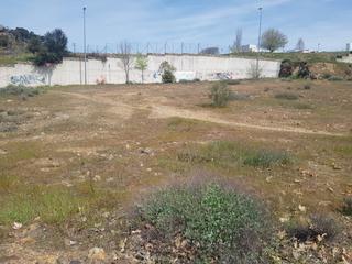 Terrain résidentiel à Miralvalle - Av. Virgen del Puerto - La Data. Terreno en venta en lago la baña  valcorchero  plasencia cáceres