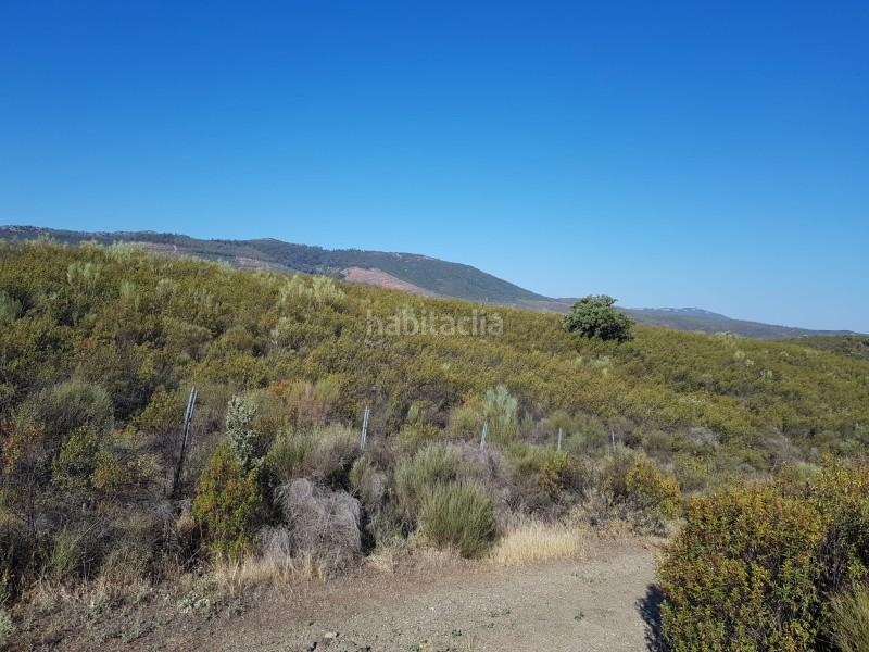 Foto 4f7d769f-998d-4c84-85fc-aea42c6a738a. Finca rústica a Fresnedoso de Ibor