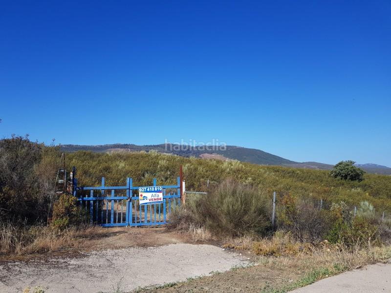 Foto 5bd045e3-9593-4c35-9b67-be8755183c50. Finca rústica a Fresnedoso de Ibor