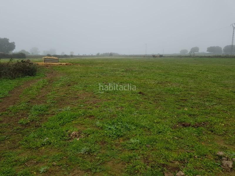 Foto 4579fe51-599e-477c-b9fe-e5cedac4b84d. Finca rústica terreno en venta cáceres en Oliva de Plasencia