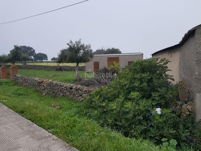 Foto 8a8fa36a-568a-4213-abd8-723ab7aee556. Finca rústica terreno en venta cáceres en Oliva de Plasencia