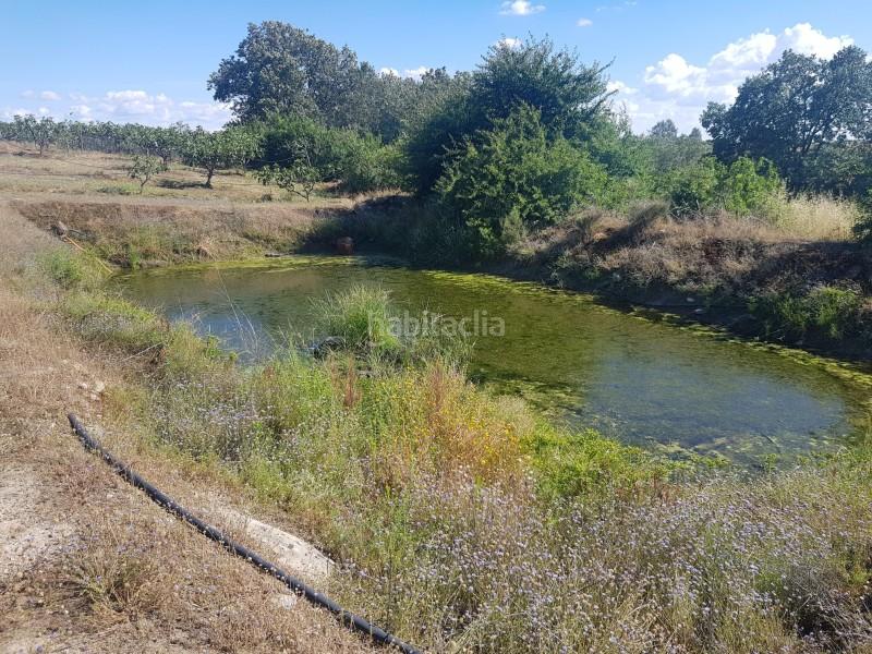 Foto a2c14a7b-670b-4791-89be-9ad3e610adb2. Chalet casa unifamiliar en venta en la dehesa cáceres en Torremenga