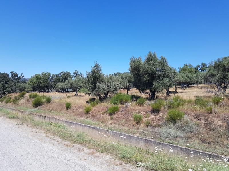 Foto 3f373162-3352-48d5-8bc2-3050068eefd0. Finca rústica a Hervás