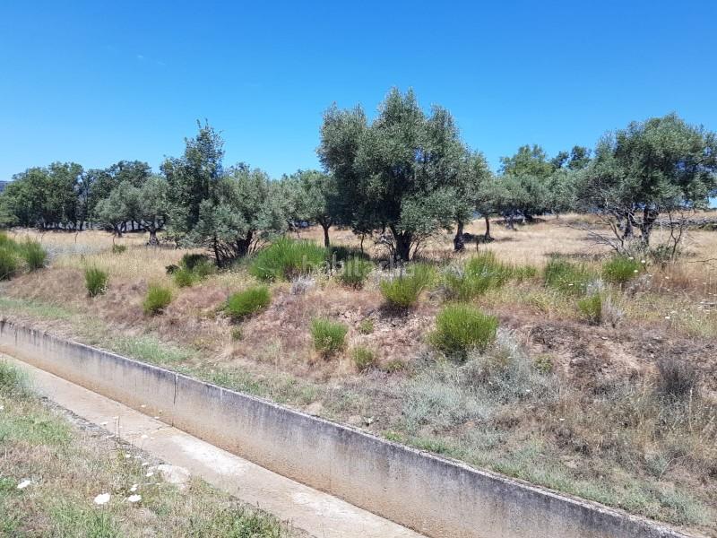 Foto 4aa4ff1e-cba8-41e6-804d-ffd5715cdbb1. Finca rústica a Hervás