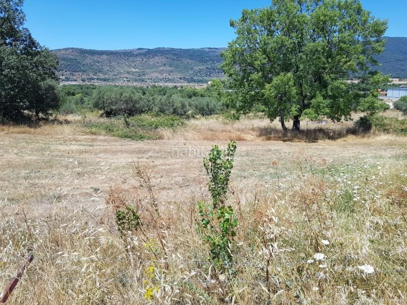 Foto 5cffbbe7-49bd-446a-9e72-0fd4177dc90c. Finca rústica a Hervás