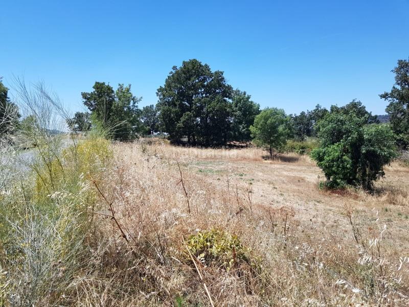 Foto 737206b9-8786-4ccc-91a5-fa6e7b7b950d. Finca rústica a Hervás