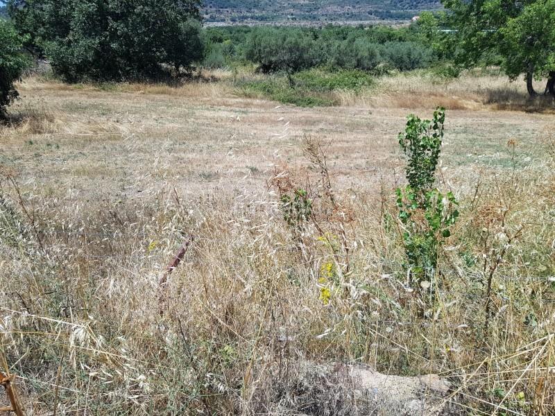 Foto b6955f61-044c-491a-ac0f-f58f3fc59958. Finca rústica a Hervás