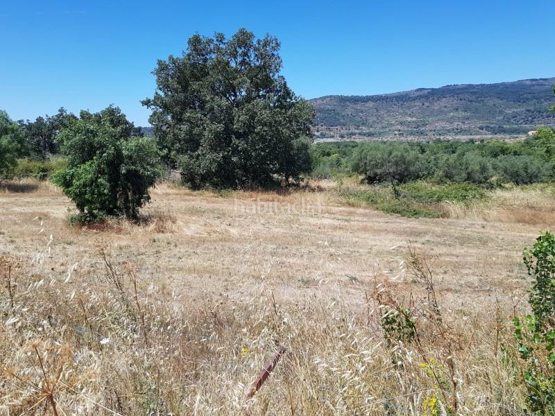 Foto b700c886-cb05-4755-8816-bf73a15b3e20. Finca rústica a Hervás