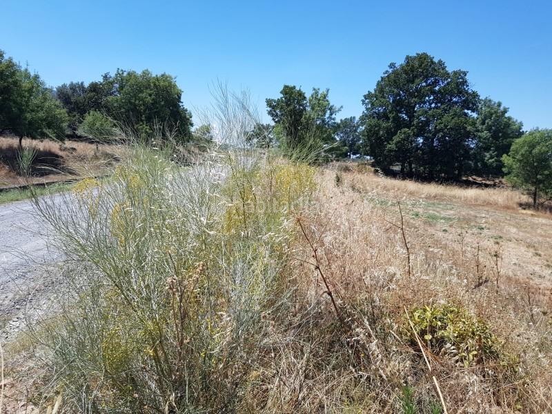 Foto fdb13e7d-944d-415f-9812-2fe57e216331. Finca rústica a Hervás