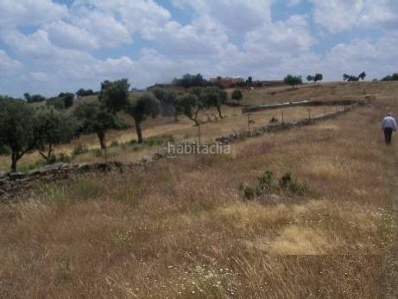 Foto 3d7a94fb-6133-489f-890a-21695f4234da. Finca rústica a Alcántara