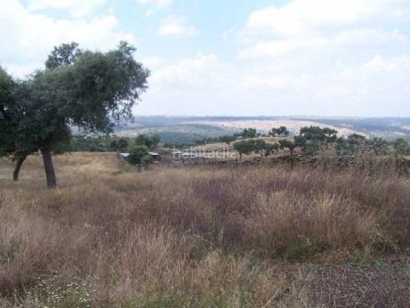 Foto 5d57ad42-48b3-4285-8f62-3f8f94c84753. Finca rústica a Alcántara