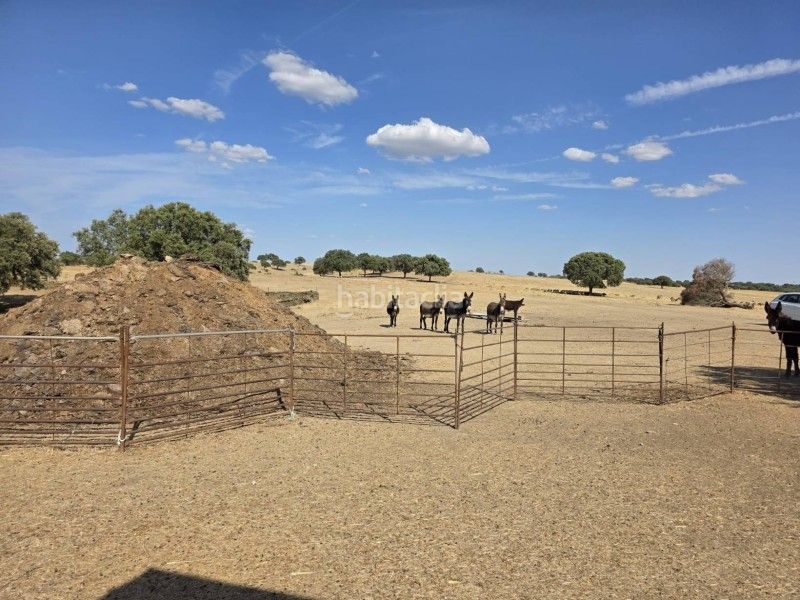 Foto 6500f405-c64e-411a-97dc-0e66dfdc6202. Finca rústica a Alcántara