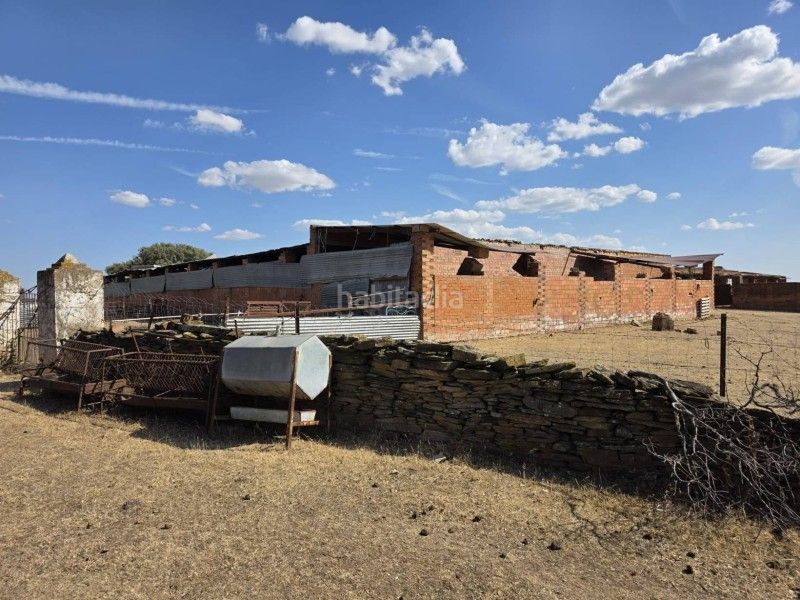 Foto 90b7eb6d-1808-43e1-a60d-39234053a357. Finca rústica a Alcántara