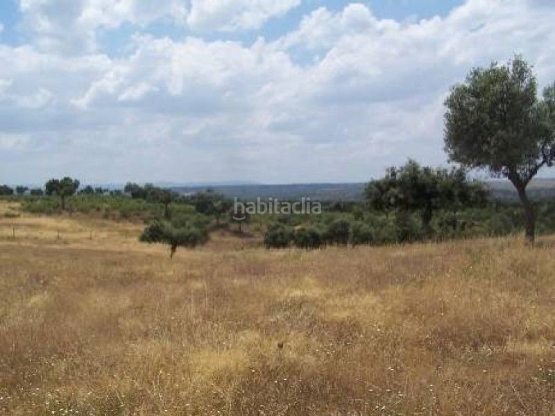 Foto a06f9c20-0e0e-4805-a532-1cbeeccb595a. Finca rústica a Alcántara