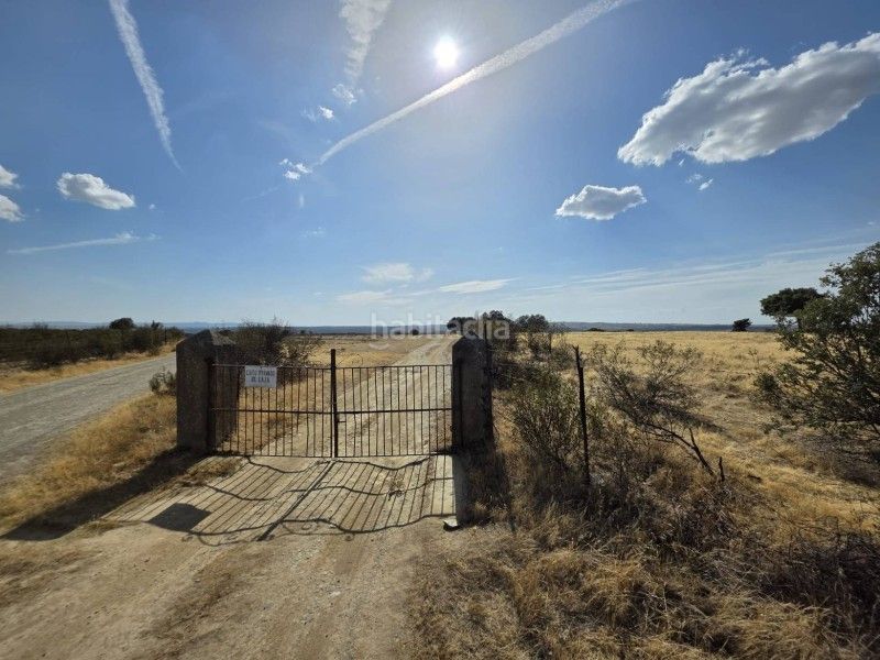 Foto a16364a4-61d4-48bb-90dd-6018cbc543d4. Finca rústica a Alcántara