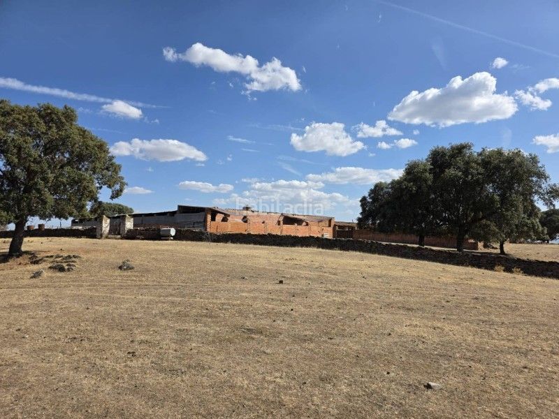 Foto a3296809-4be0-42bd-8fc0-549c65cc96fc. Finca rústica a Alcántara