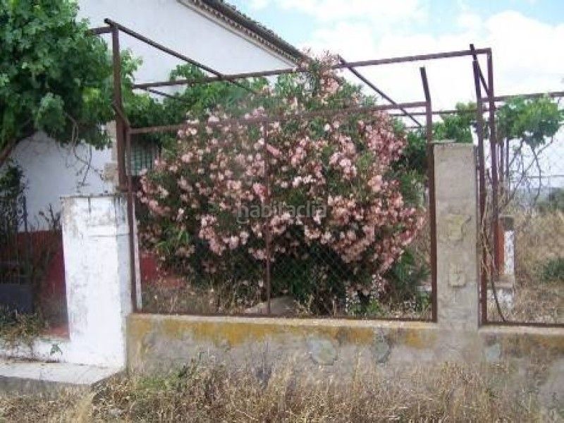 Foto a7cbb82b-447c-42e7-a14c-7b8a3e3afb3f. Finca rústica a Alcántara