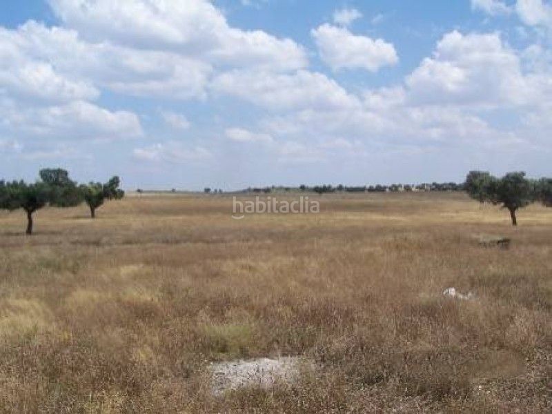 Foto ac82d18b-f46d-4e92-abda-21d9b9d13786. Finca rústica a Alcántara