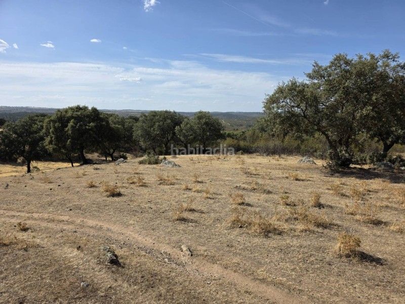 Foto ae456188-8776-411c-8018-7ee34dff4440. Finca rústica a Alcántara