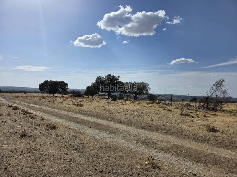 Foto b984177b-83dc-485f-8728-5d601f911151. Finca rústica a Alcántara