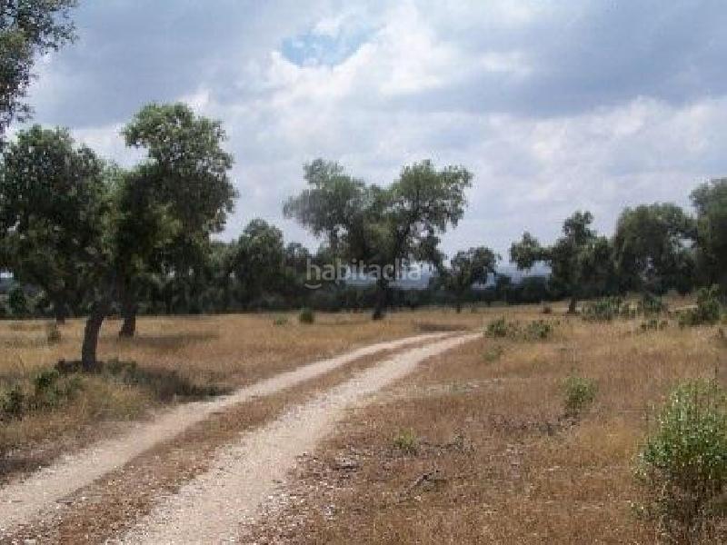 Foto bc32c0c9-29ad-4913-a565-f908d8bde69b. Finca rústica a Alcántara