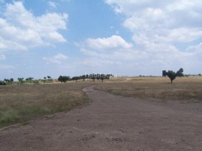 Foto c0dc6f26-cd35-49bc-8bd7-a5100cd8dfc1. Finca rústica a Alcántara