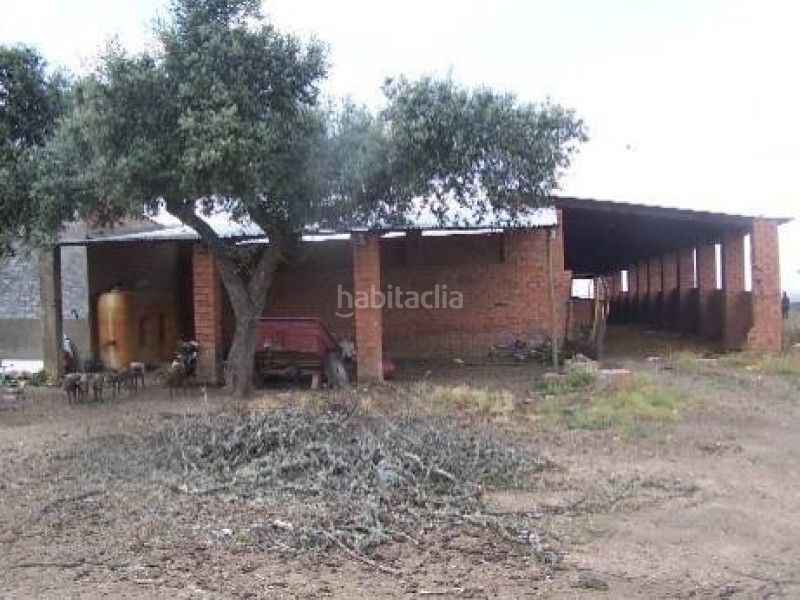 Foto da308601-f8db-4f6f-92b9-aafdf9458455. Finca rústica a Alcántara
