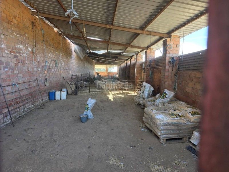 Foto dd3a1ded-924e-4a05-bf79-c597cbd5a688. Finca rústica a Alcántara