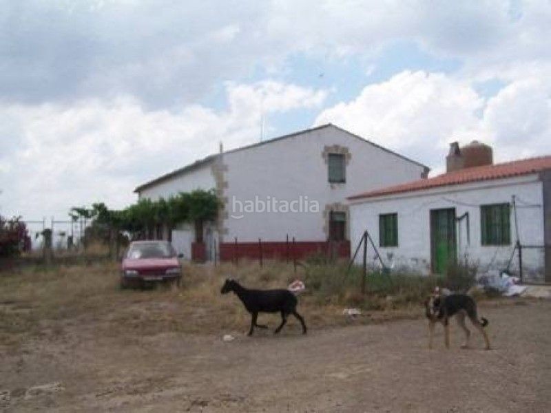 Foto dfac824e-6984-4c70-a1ae-d5663e029bdb. Finca rústica a Alcántara