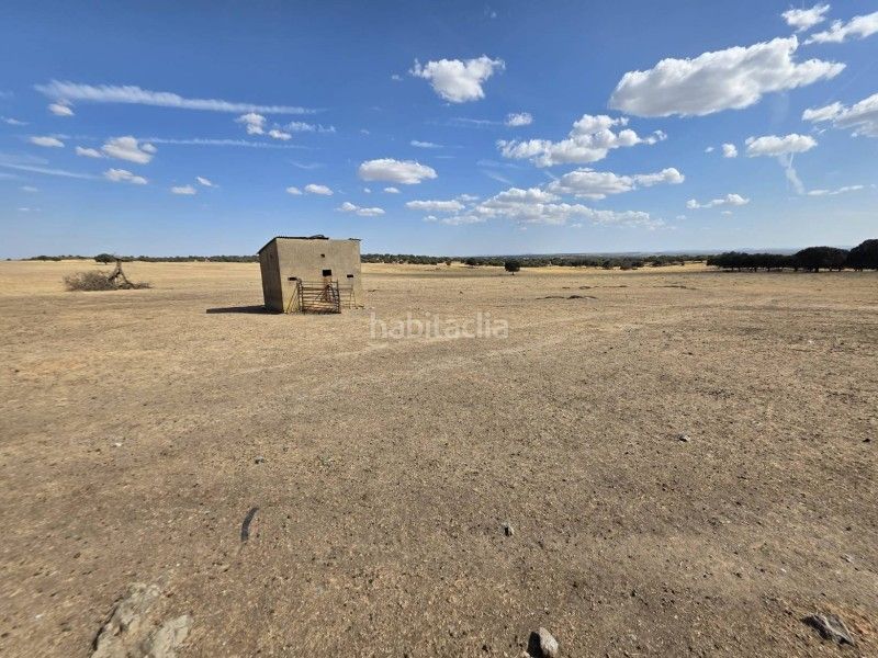 Foto e6438fe5-f402-450f-9629-71a6abbc3509. Finca rústica a Alcántara