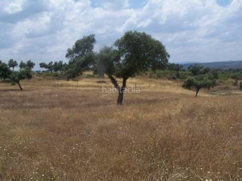 Foto e775a823-66d2-43c8-b9b3-d68ccde4fd2a. Finca rústica a Alcántara