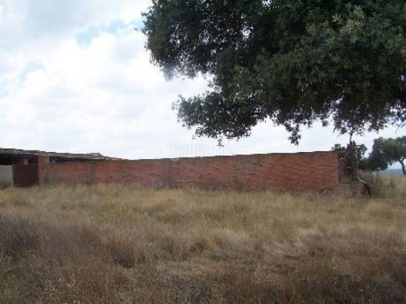 Foto f0be863d-db87-46c9-aa97-6f3e1539faa6. Finca rústica a Alcántara