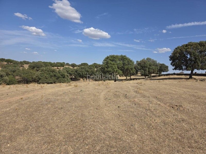 Foto f9b38592-5b19-4802-bfe1-5f563c81c04e. Finca rústica a Alcántara