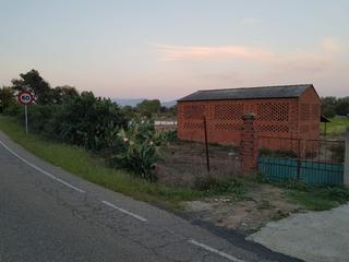 Finca rústica a Carcaboso. Terreno en venta en olivar  carcaboso cáceres