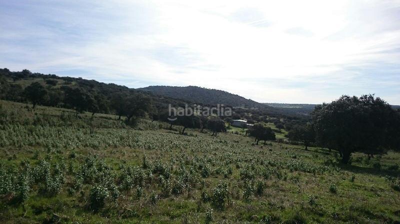 Foto 025ee669-f616-4458-bc83-b54ec216b8d5. Finca rústica terreno en venta en san vicente de alcantara cáceres en Salorino