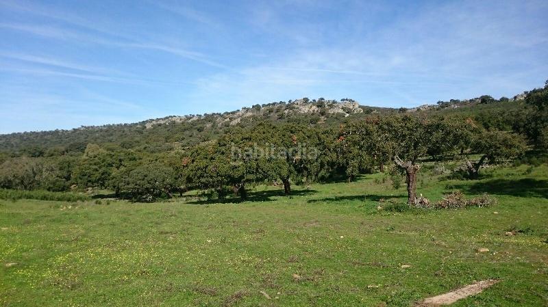 Foto 39e726c7-3031-46d7-ae70-e0d4c8633f4f. Finca rústica terreno en venta en san vicente de alcantara cáceres en Salorino