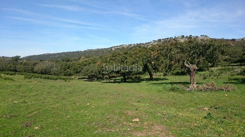 Foto 48e25512-4b89-43ef-beec-fbe4d0cb285e. Finca rústica terreno en venta en san vicente de alcantara cáceres en Salorino