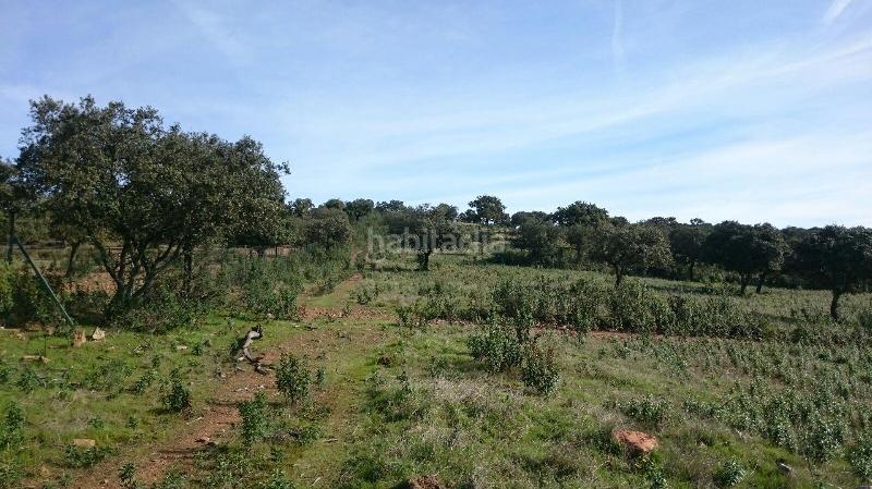 Foto 54944e0f-ff13-427b-ba57-b69d549b354f. Finca rústica terreno en venta en san vicente de alcantara cáceres en Salorino