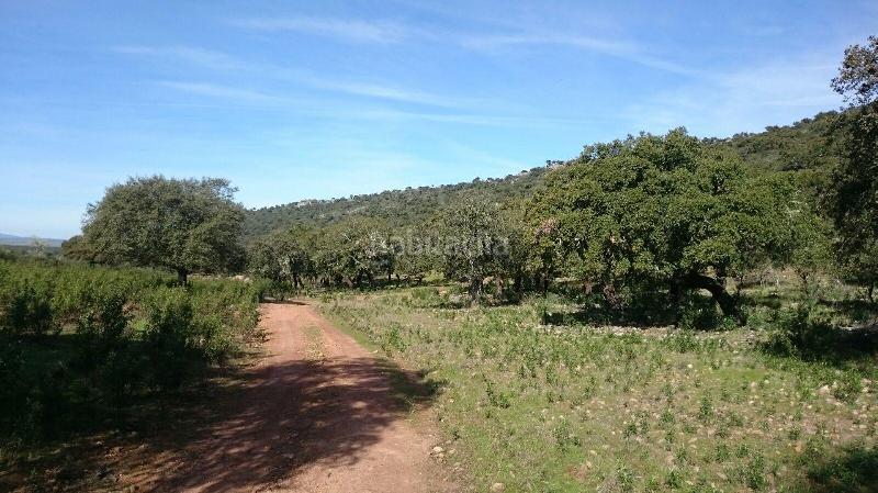 Foto 5a4d0148-23b9-4c7f-90ce-ff6f779921b2. Finca rústica terreno en venta en san vicente de alcantara cáceres en Salorino