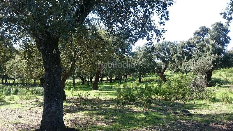 Foto 5cce3628-a1b9-4079-a7ea-9240b65cf52e. Finca rústica terreno en venta en san vicente de alcantara cáceres en Salorino