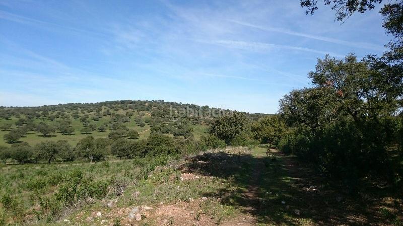 Foto 645d246b-8abd-43ce-b3fc-02b3cbce05d5. Finca rústica terreno en venta en san vicente de alcantara cáceres en Salorino