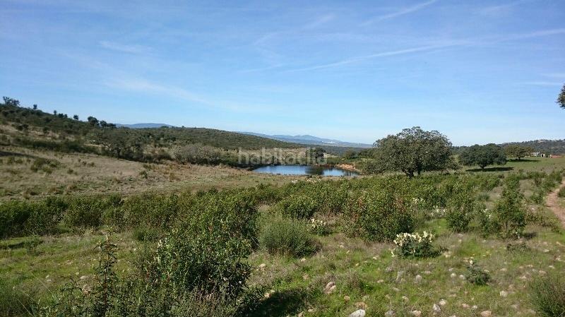 Foto 855e913f-ba17-400b-b280-a39188a1aed1. Finca rústica terreno en venta en san vicente de alcantara cáceres en Salorino