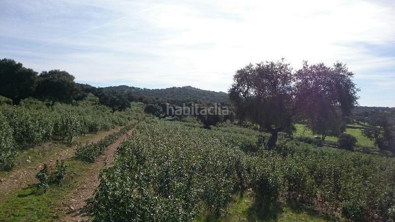 Foto 9638dc36-a9d9-4973-b9ba-2ddb0727ace7. Finca rústica terreno en venta en san vicente de alcantara cáceres en Salorino